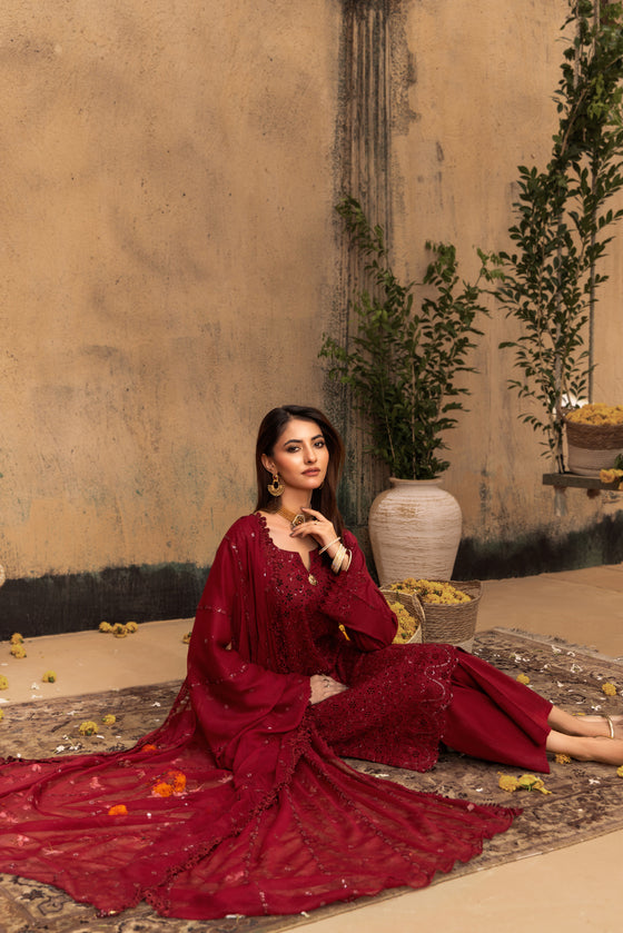 KARI NOIR  EXCLUSIVE CHIKANKARI  FESTIVE EDIT