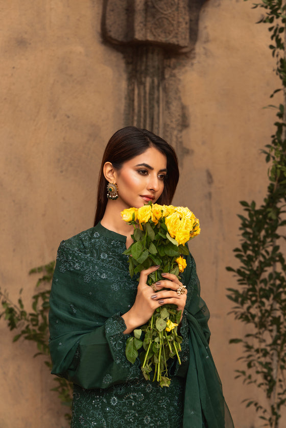 KARI NOIR  EXCLUSIVE CHIKANKARI  FESTIVE EDIT