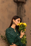 KARI NOIR  EXCLUSIVE CHIKANKARI  FESTIVE EDIT