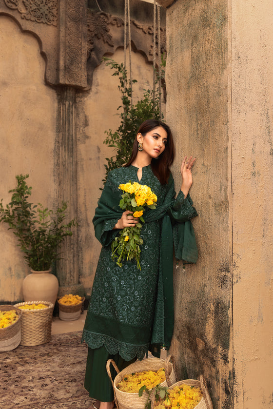 KARI NOIR  EXCLUSIVE CHIKANKARI  FESTIVE EDIT