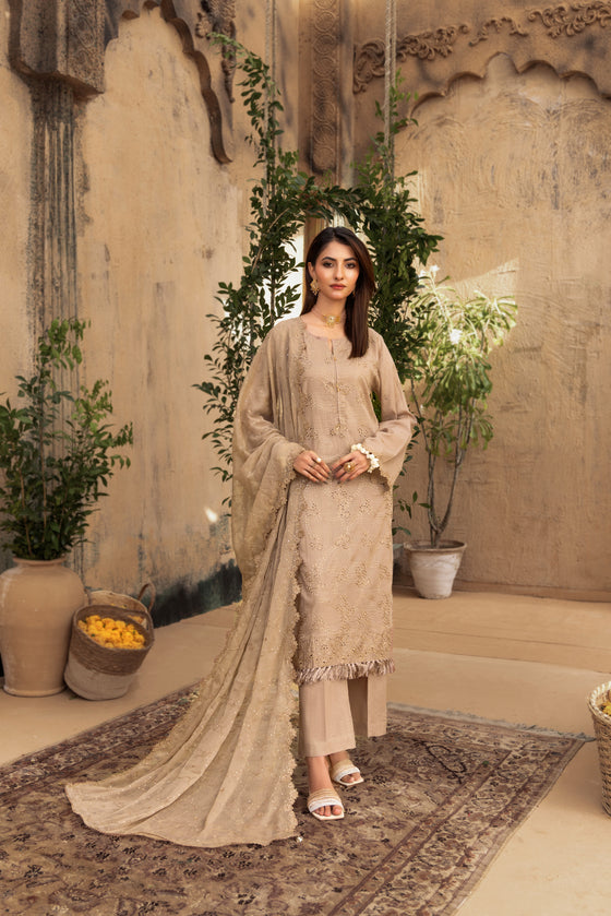 KARI NOIR  EXCLUSIVE CHIKANKARI  FESTIVE EDIT