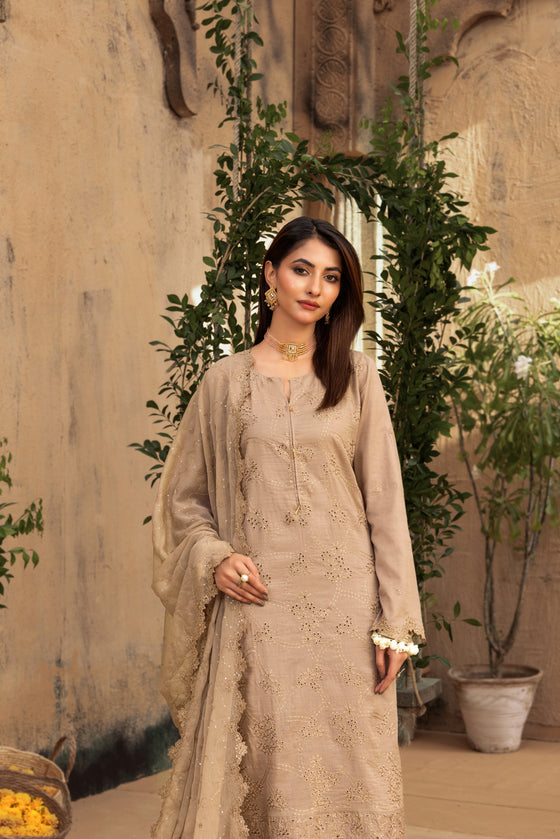 KARI NOIR  EXCLUSIVE CHIKANKARI  FESTIVE EDIT