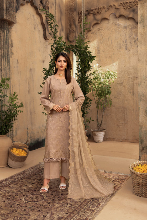 KARI NOIR  EXCLUSIVE CHIKANKARI  FESTIVE EDIT