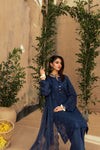 KARI NOIR  EXCLUSIVE CHIKANKARI  FESTIVE EDIT
