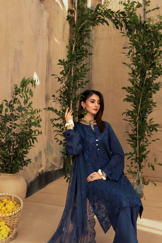 KARI NOIR  EXCLUSIVE CHIKANKARI  FESTIVE EDIT