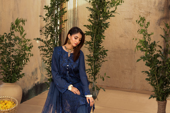KARI NOIR  EXCLUSIVE CHIKANKARI  FESTIVE EDIT