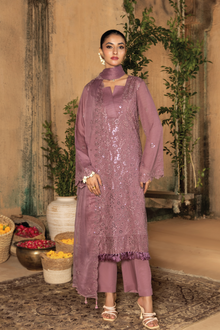  KARI NOIR  EXCLUSIVE CHIKANKARI  FESTIVE EDIT