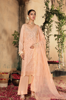  KARI NOIR  EXCLUSIVE CHIKANKARI  FESTIVE EDIT