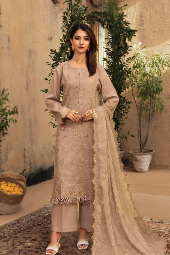 KARI NOIR  EXCLUSIVE CHIKANKARI  FESTIVE EDIT